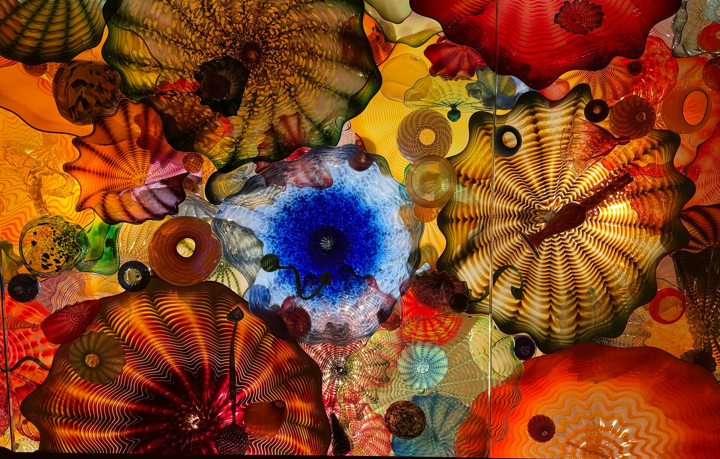 Striking Chihuly Art